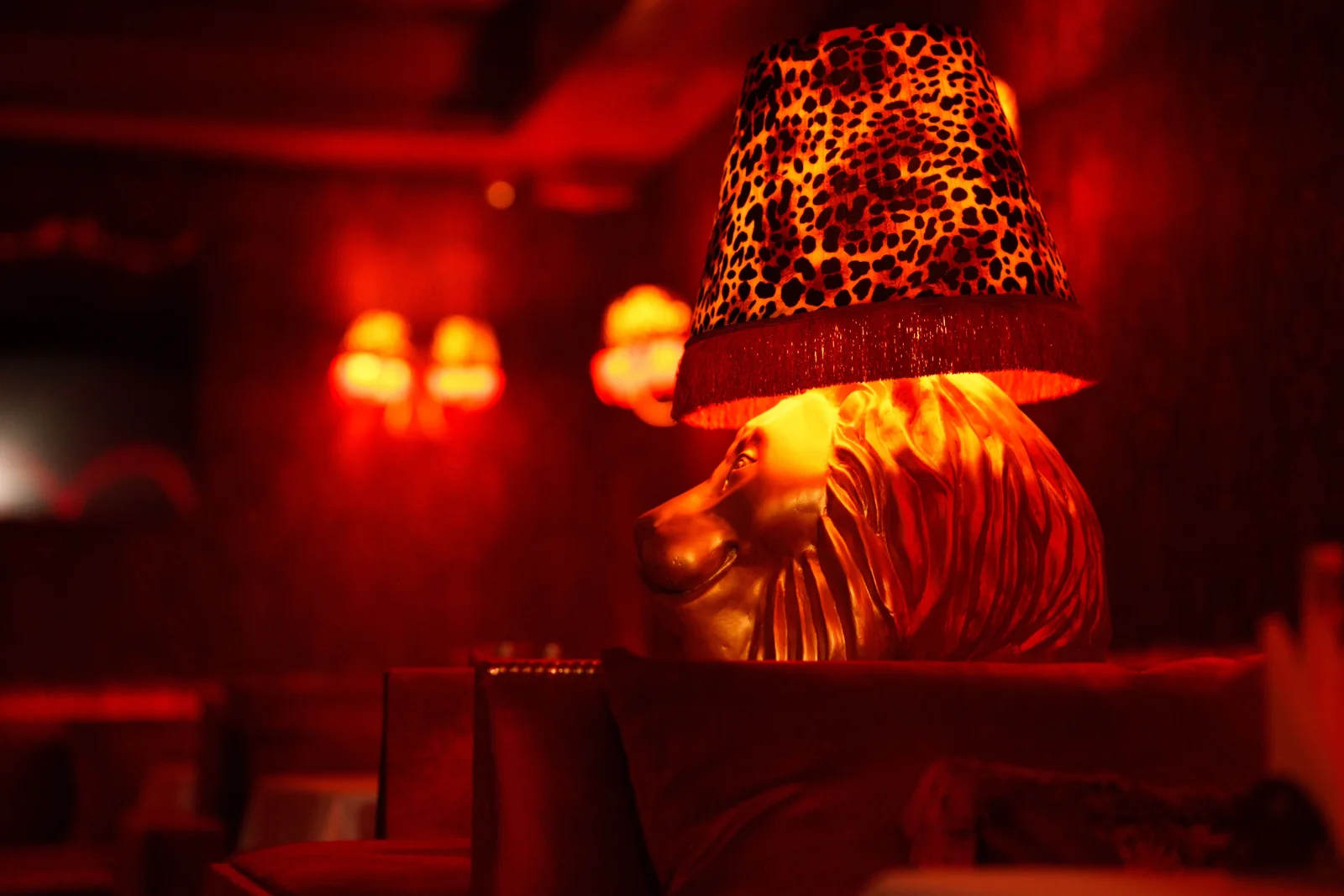Illuminated lion emblem inside The Club Agadir